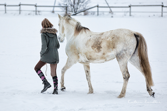 Impressionen Pferdefotografie