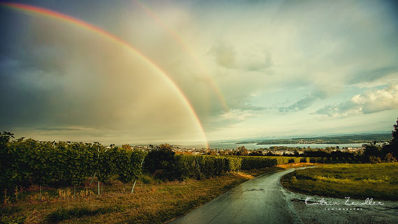 Landschaftsfotografie Bodensee Regenbogen