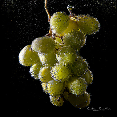 Weintrauben schwarzer Hintergrund im Wasser